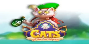 玩加勒比猫老虎机-熊猫体育